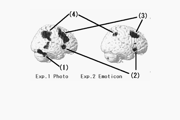 陰影部分表示的活動區域（1）右側梭狀回（2）右側額下回（3）右側額中回（4）右側下頂葉。via Yuasa et al,CHI 2006。