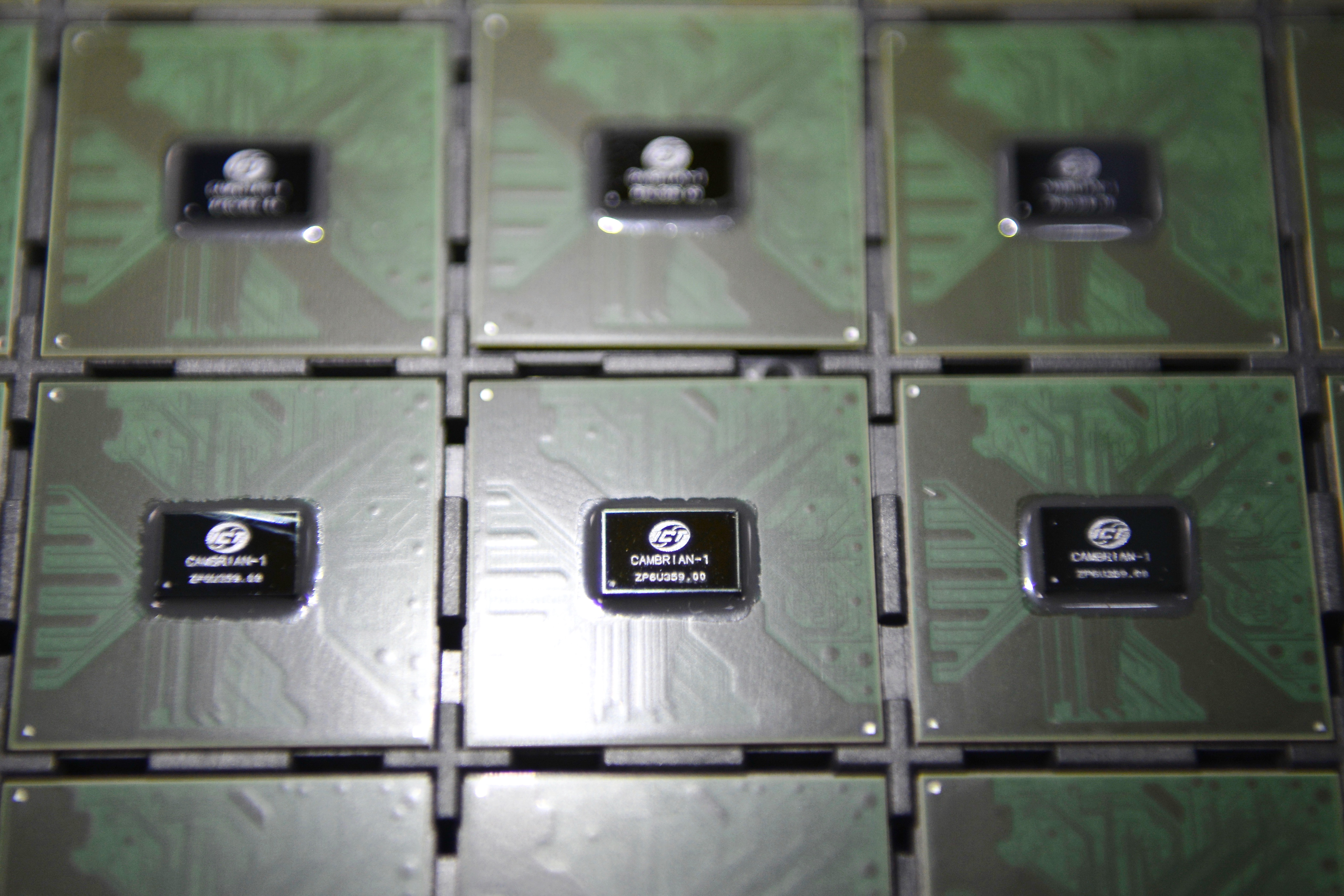 2016年發表的寒武紀1A處理器，據稱是世界首款商用深度學習專用晶片。（寒武紀官方圖片）