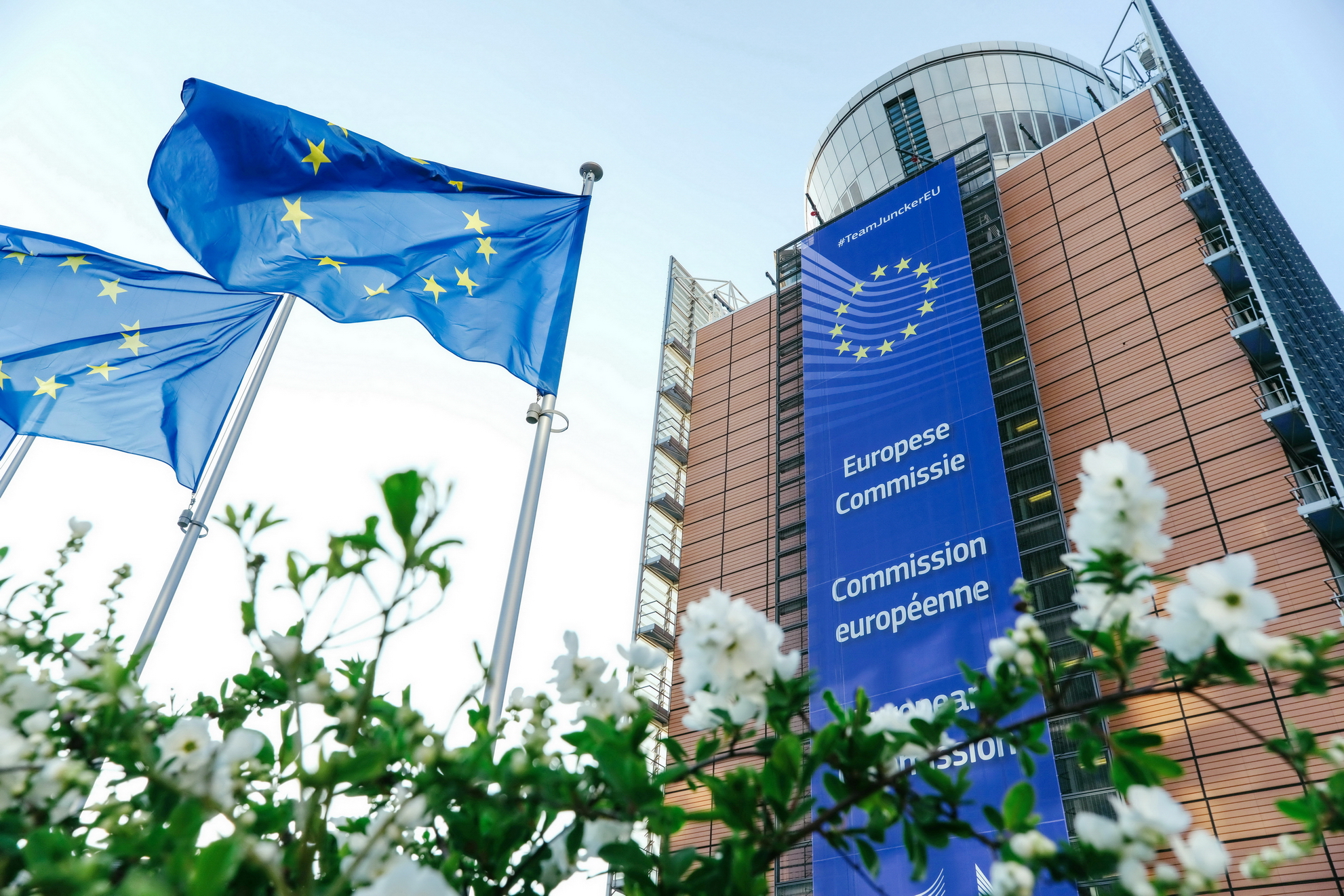 歐盟成員國昨天開會，法國、德國等19個國家贊成新的版權法。（新華社資料圖片）
