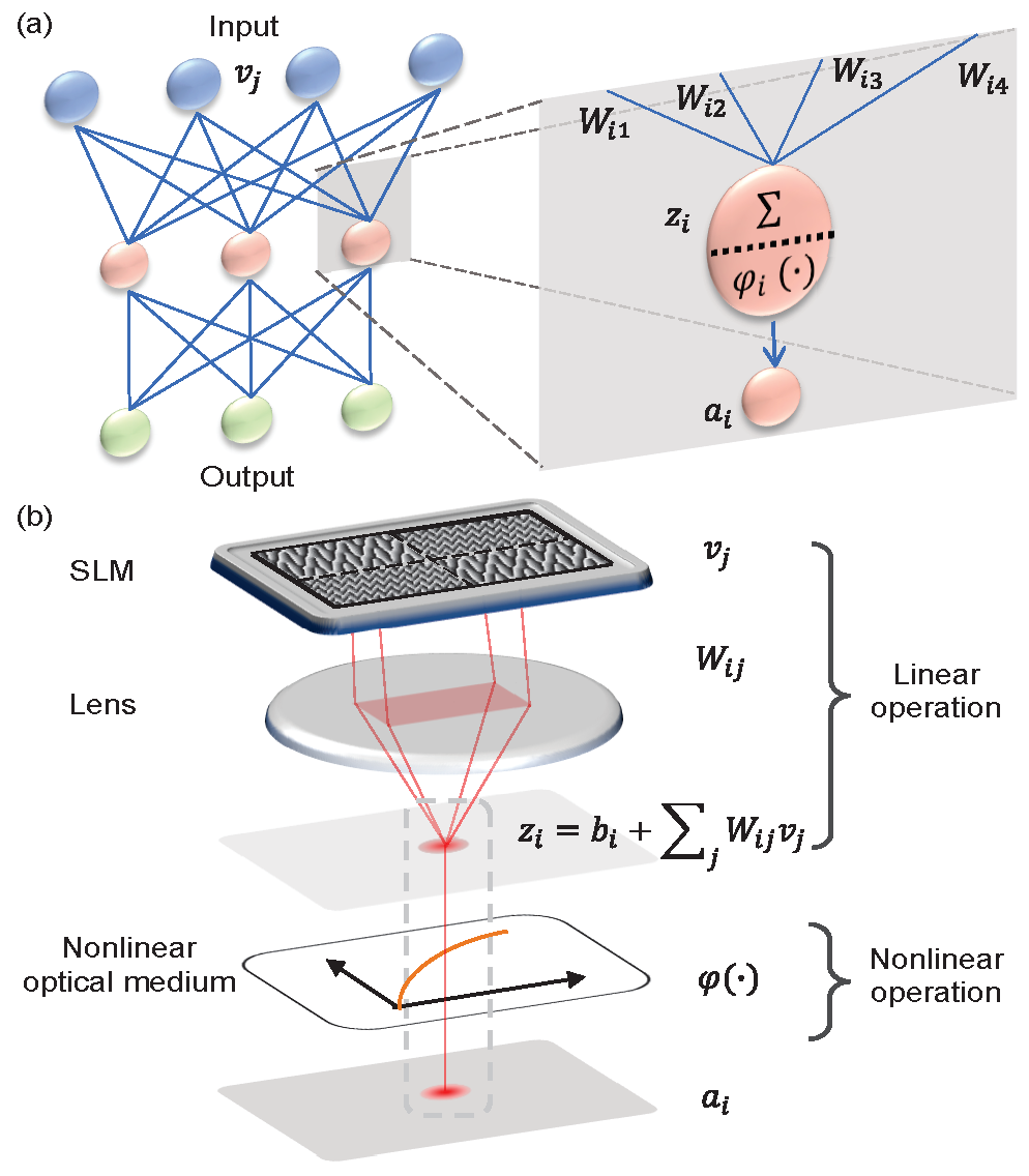 人工光學神經網絡的實驗示意圖。（科大圖片）