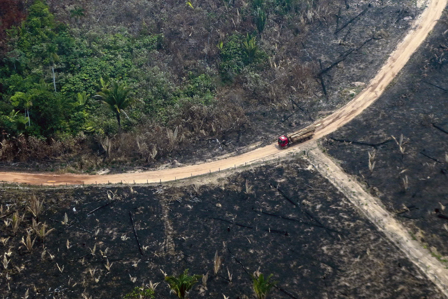 亞馬遜雨林大火持續燃燒5個多月；圖為巴西境內亞馬遜雨林近況。（法新社資料圖片）