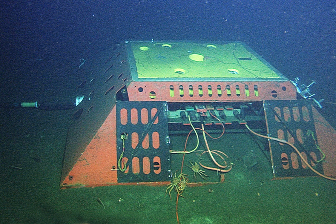 MBARI電纜設於近九百米深的海底，其中一端接駁大量科學儀器。 （MBARI圖片）