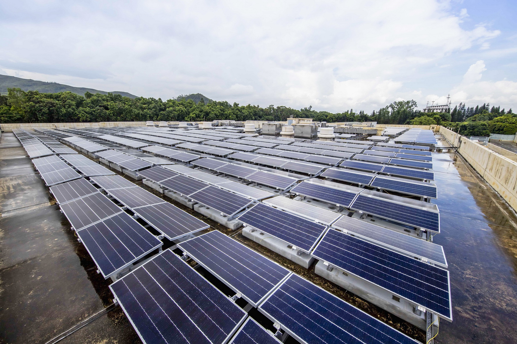 位於香港迪士尼的太陽能發電系統共設有4500塊太陽能板，總面積約相等於一個足球場。（受訪者提供圖片）
