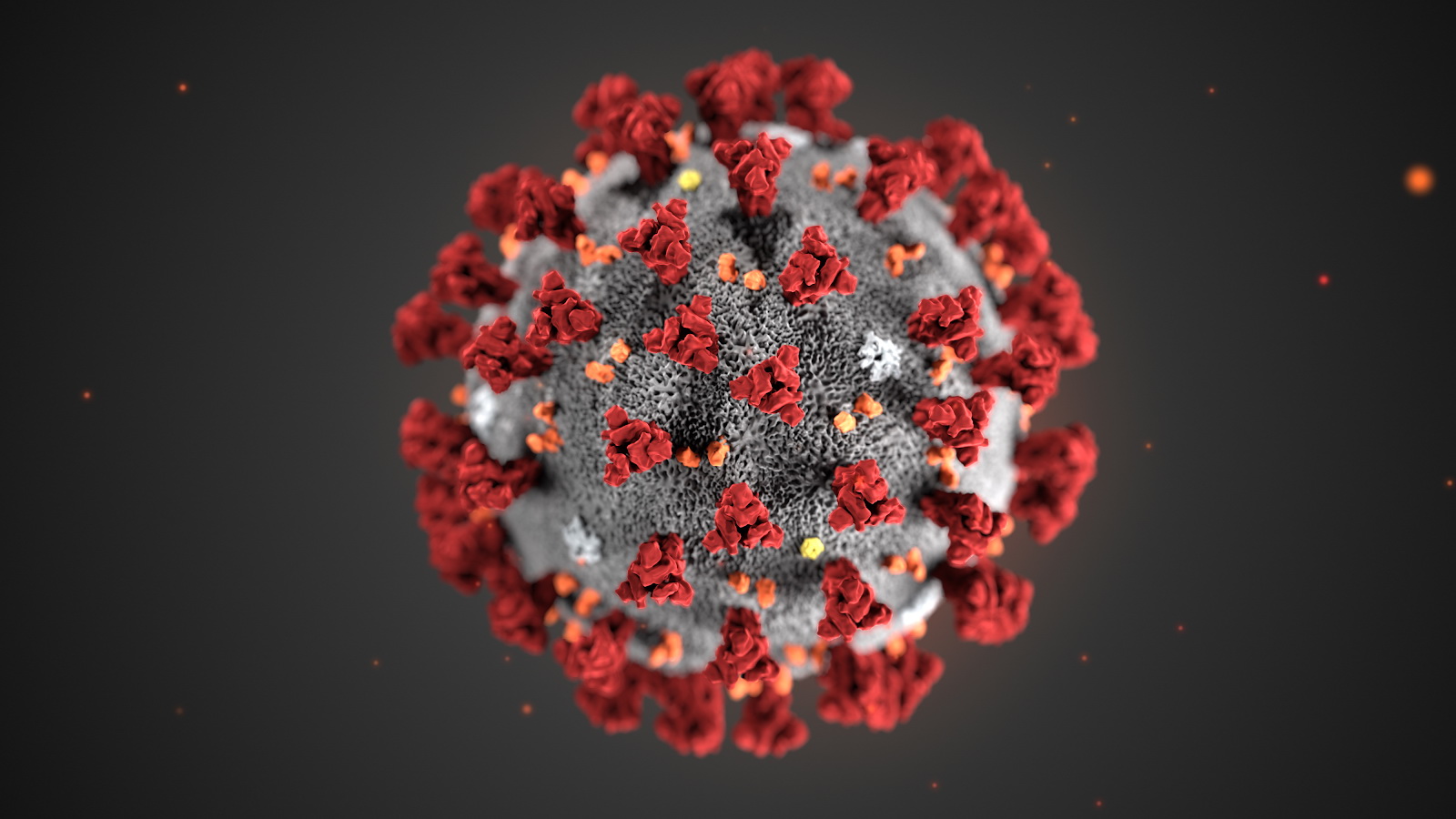 新冠病毒表面布滿特有的刺突蛋白，當刺突蛋白與人體受體ACE2結合時，肺部便會受到感染。（FAH網上圖片）