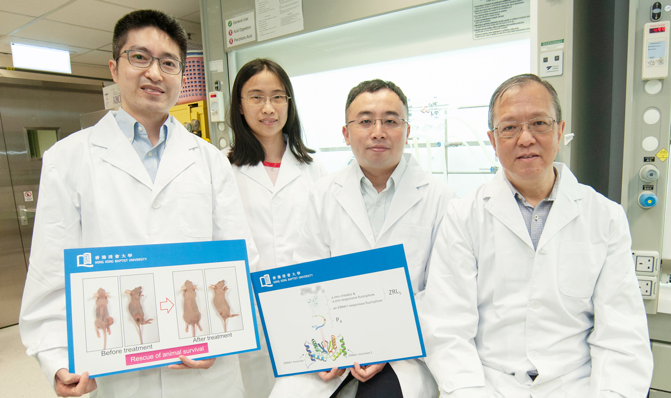 （左起）龍康樂博士、江麗君博士、黃嘉良教授、麥乃岐教授研發出一種嶄新藥物，用以治療如鼻咽癌等與EB病毒相關癌症。（浸大圖片）