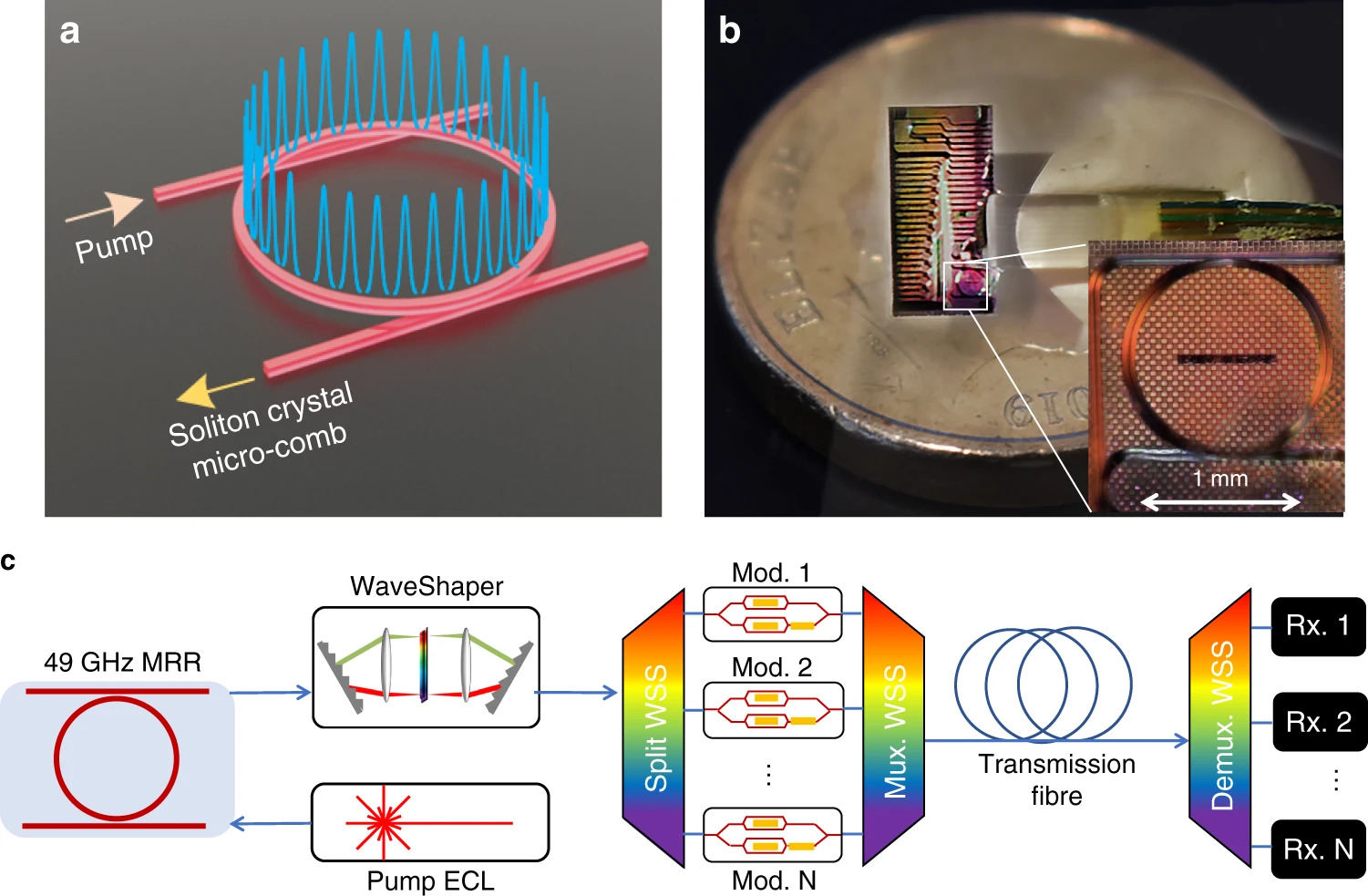 澳洲研發一款微梳光柵晶片，把光纖網速大幅提升。（自動通訊圖片）