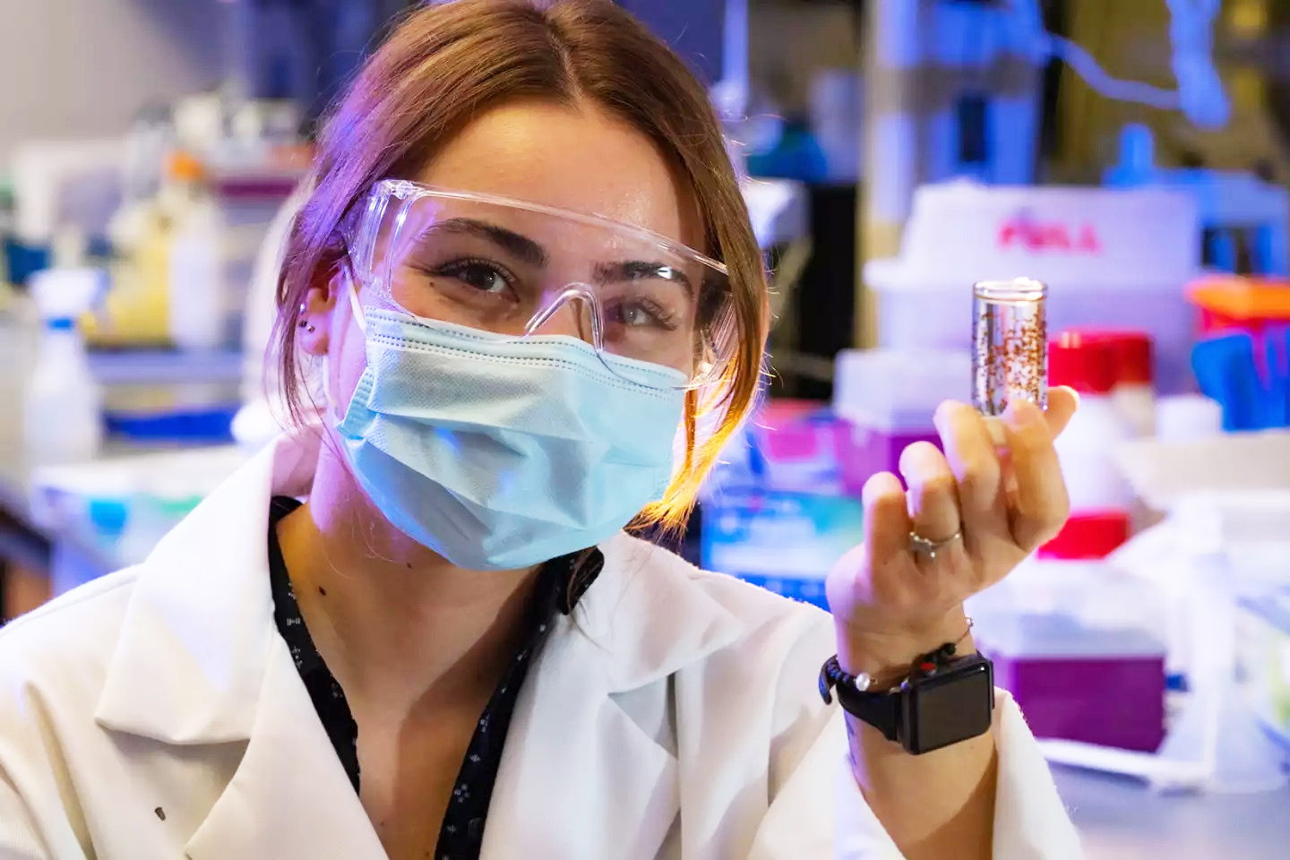 萊斯大學利用海藻酸鹽水凝膠膠囊，保護幹細胞避開免疫系統「毒手」。（美國萊斯大學圖片）