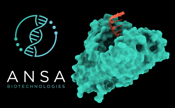Ansa主力開發以酶（enzymes）為基礎的DNA合成技術，令DNA合成服務更快和便宜。（Ansa網上圖片）