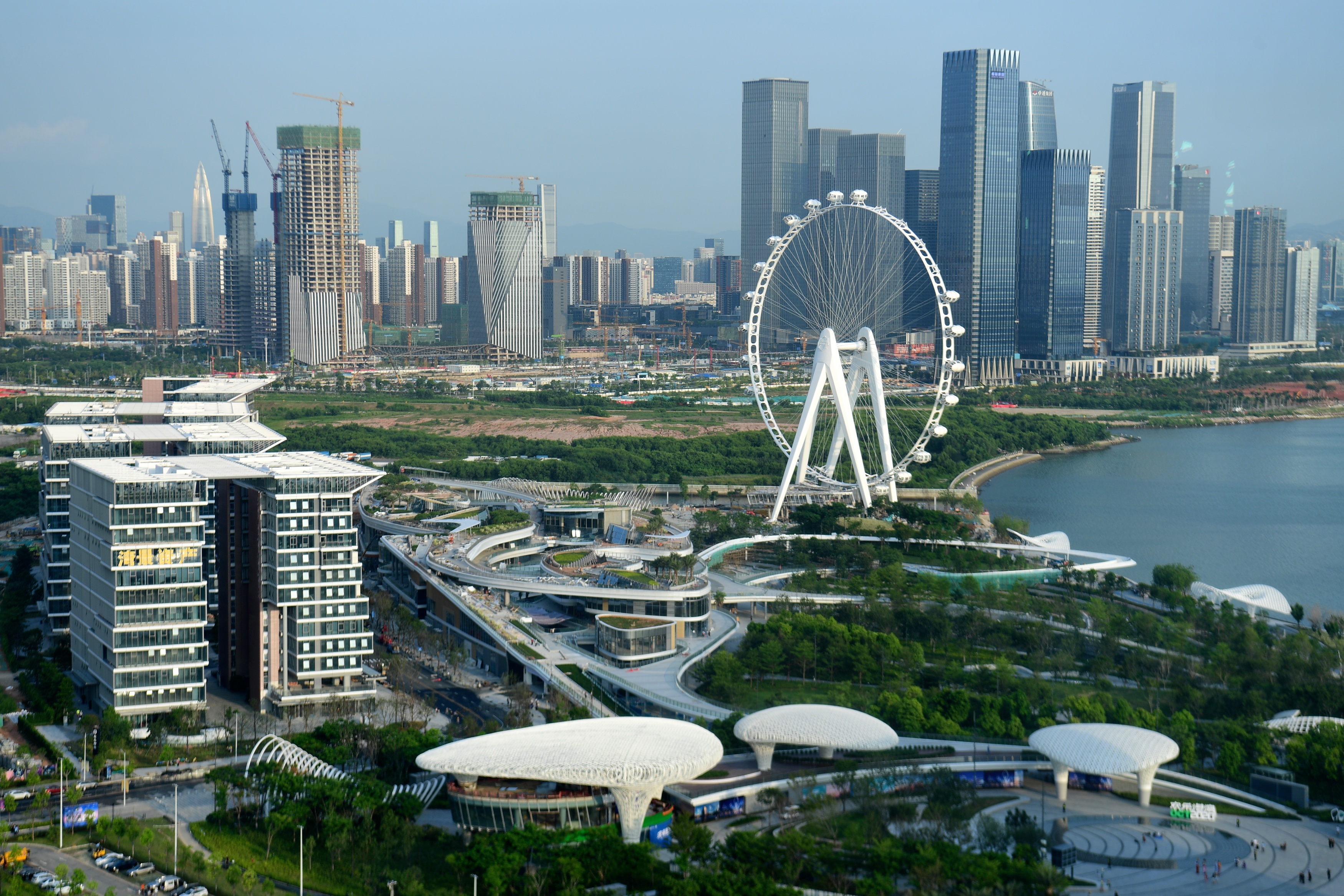 深圳是粵港澳大灣區建設的重要引擎。（中新社資料圖片）