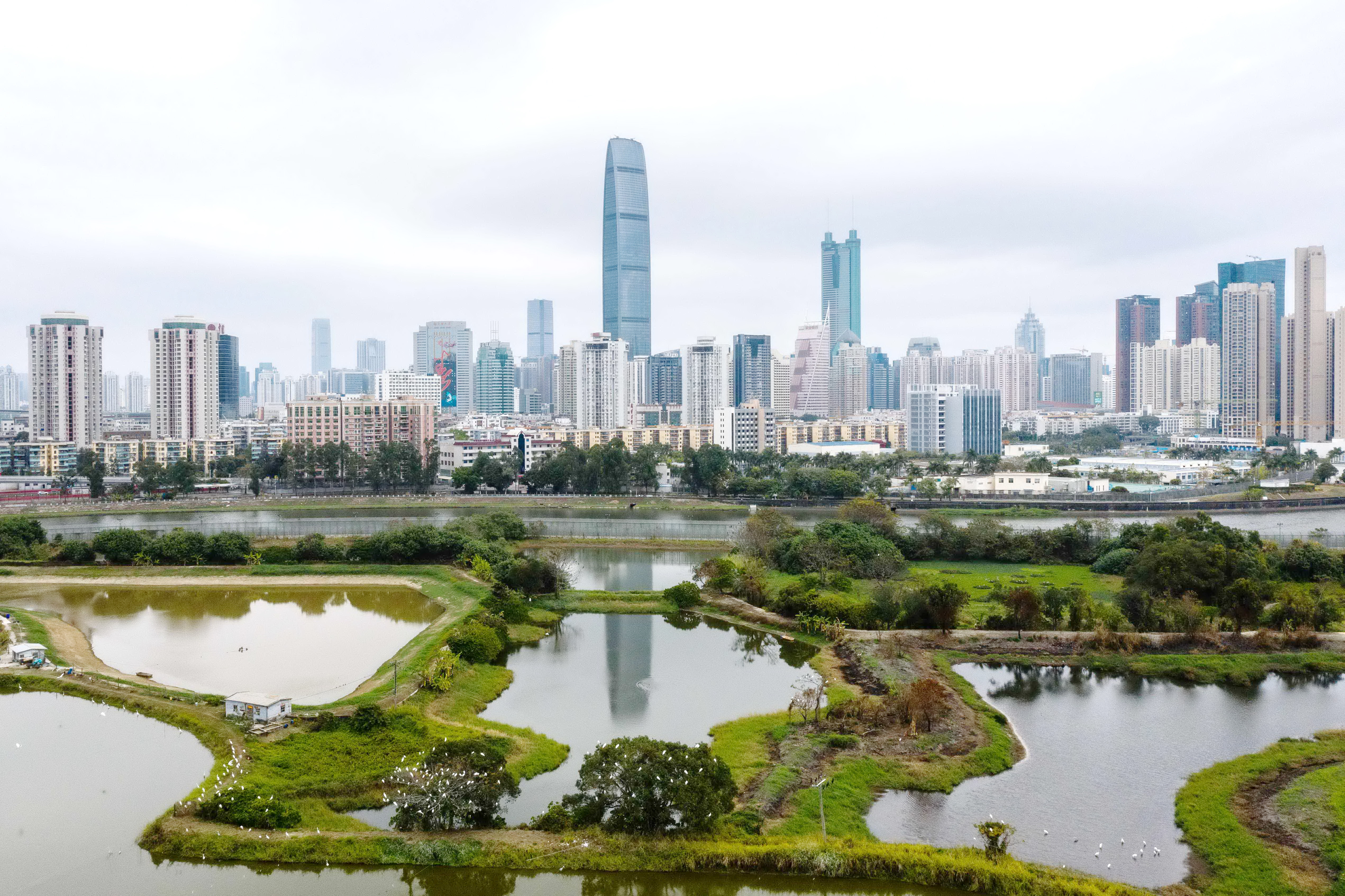 《施政報告》提出香港與深圳共同建設深港科技創新合作區的「一區兩園」。（法新社資料圖片）