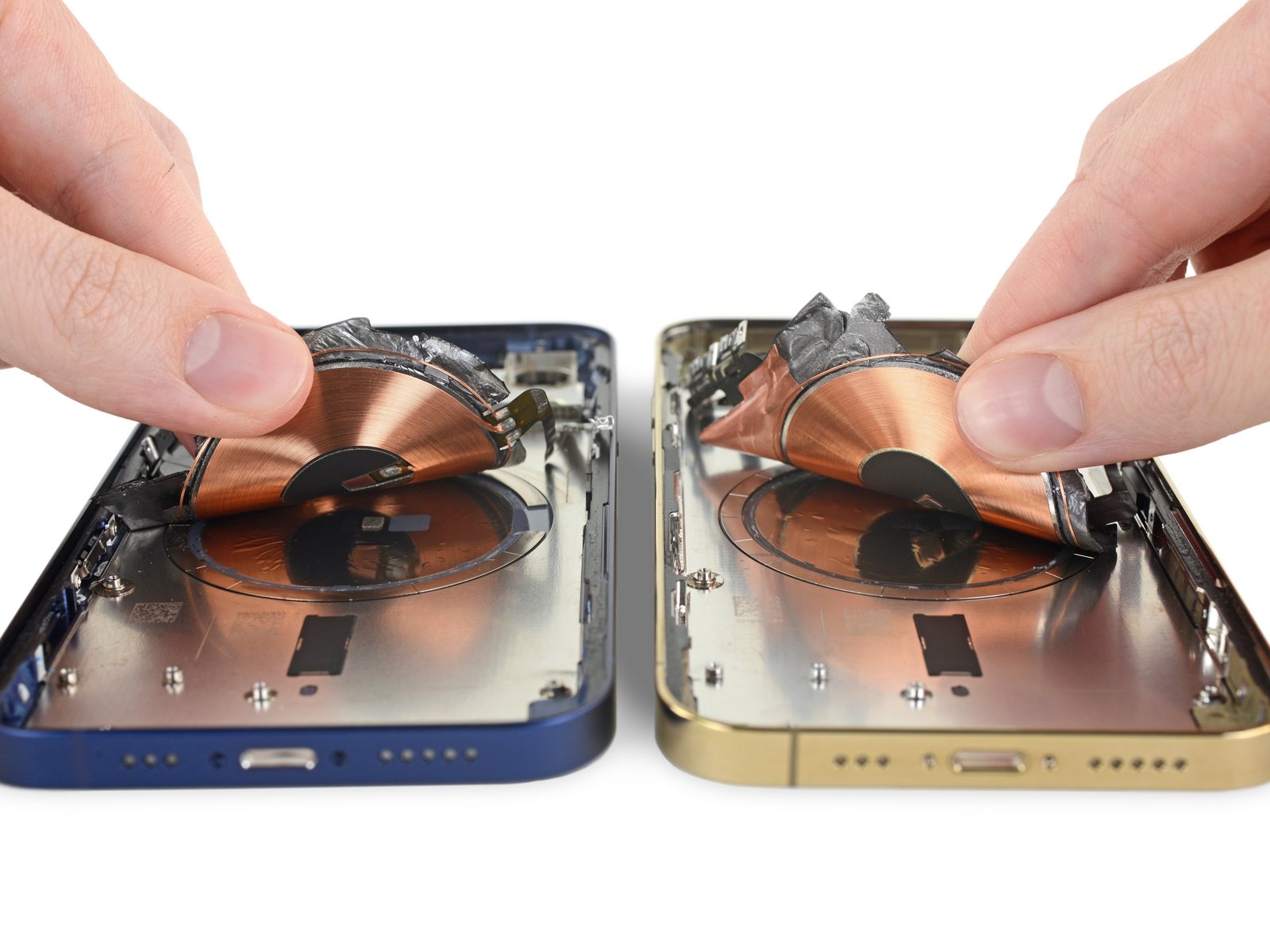 iPhone 12機背內置環形磁鐵，能吸附MagSafe充電座等配件上。（ifixit網站圖片）