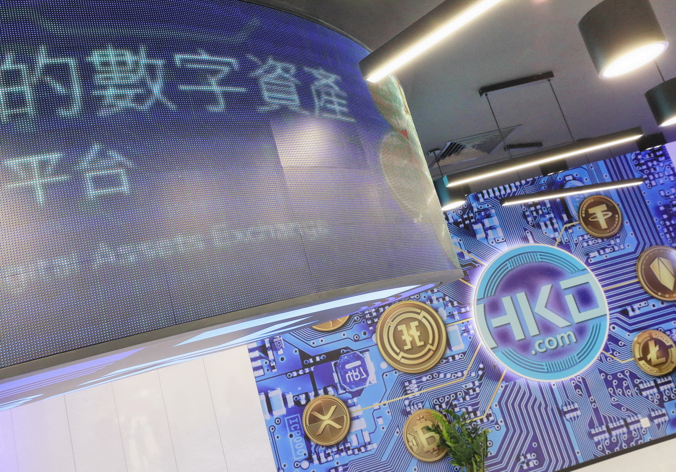 HKD.com的虛擬貨幣交易平台以零售客戶為主，不符合證監會目前發牌資格。（黃勁璋攝）