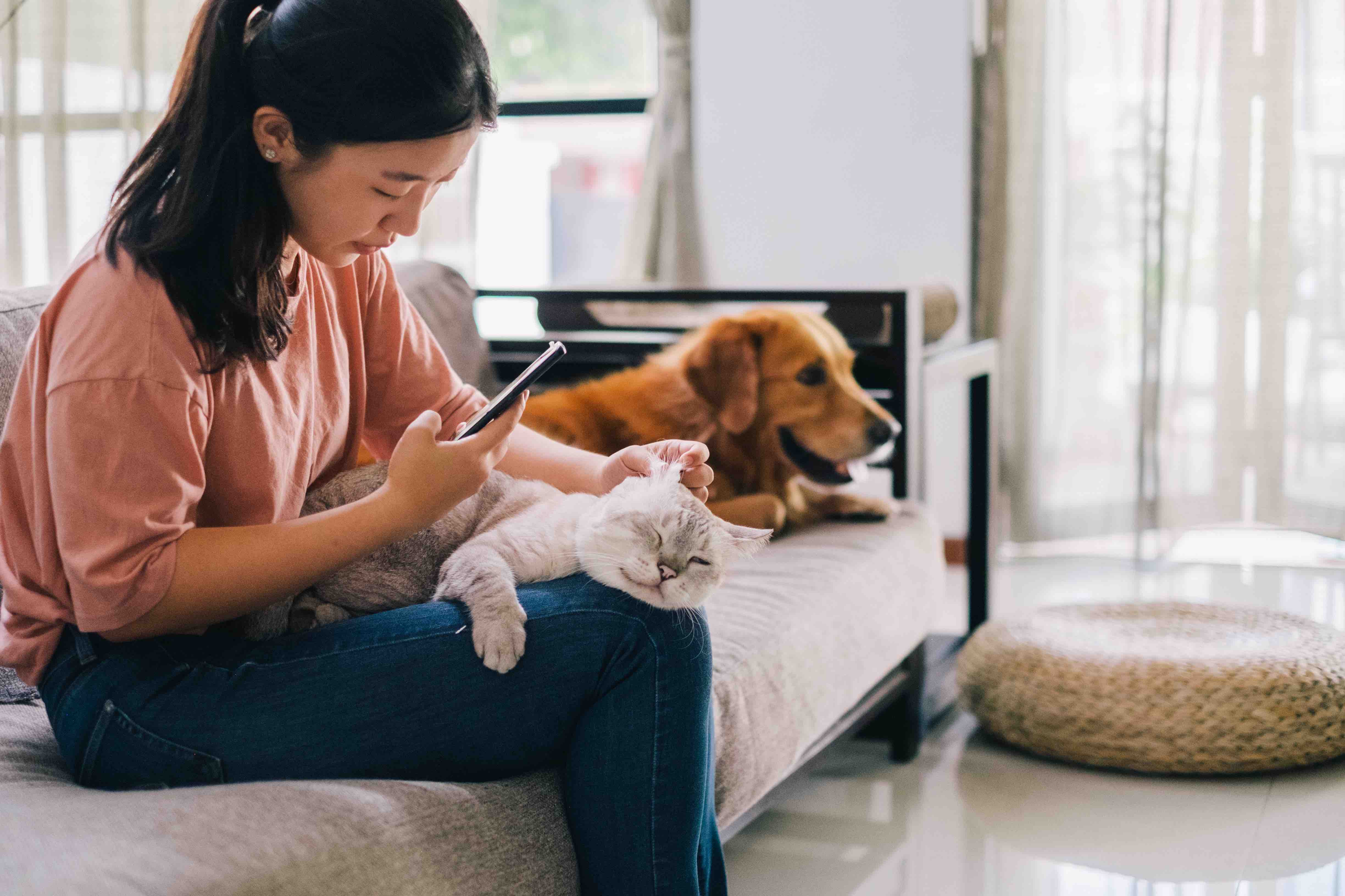 寵物主人可藉ZumVet手機程式，享用視像諮詢、電子藥房及居家檢測服務。（ZumVet網上圖片）