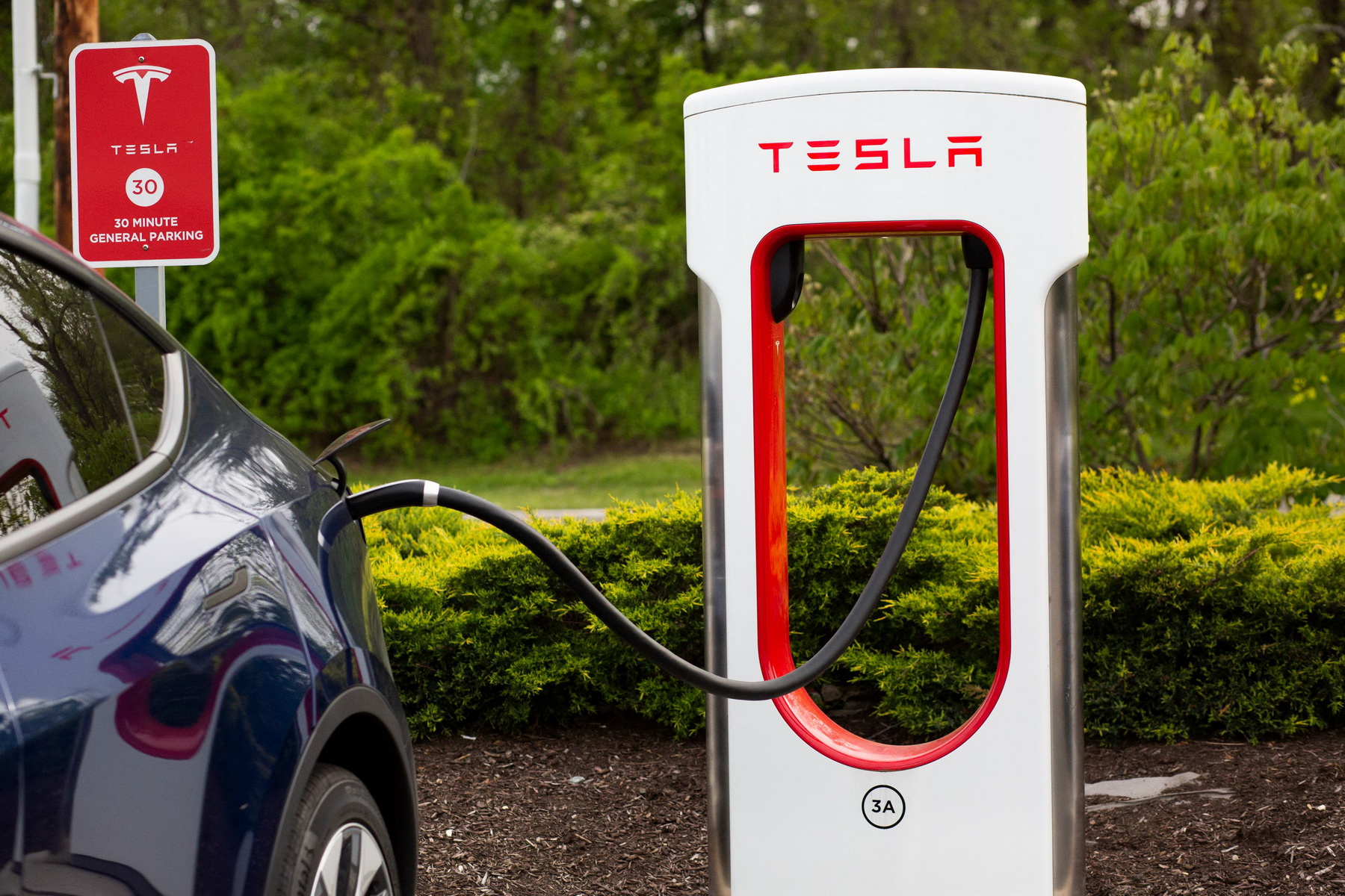 最終Tesla除了售賣電動車之外，也變成一間提供電動車充電服務的公司。（法新社資料圖片）