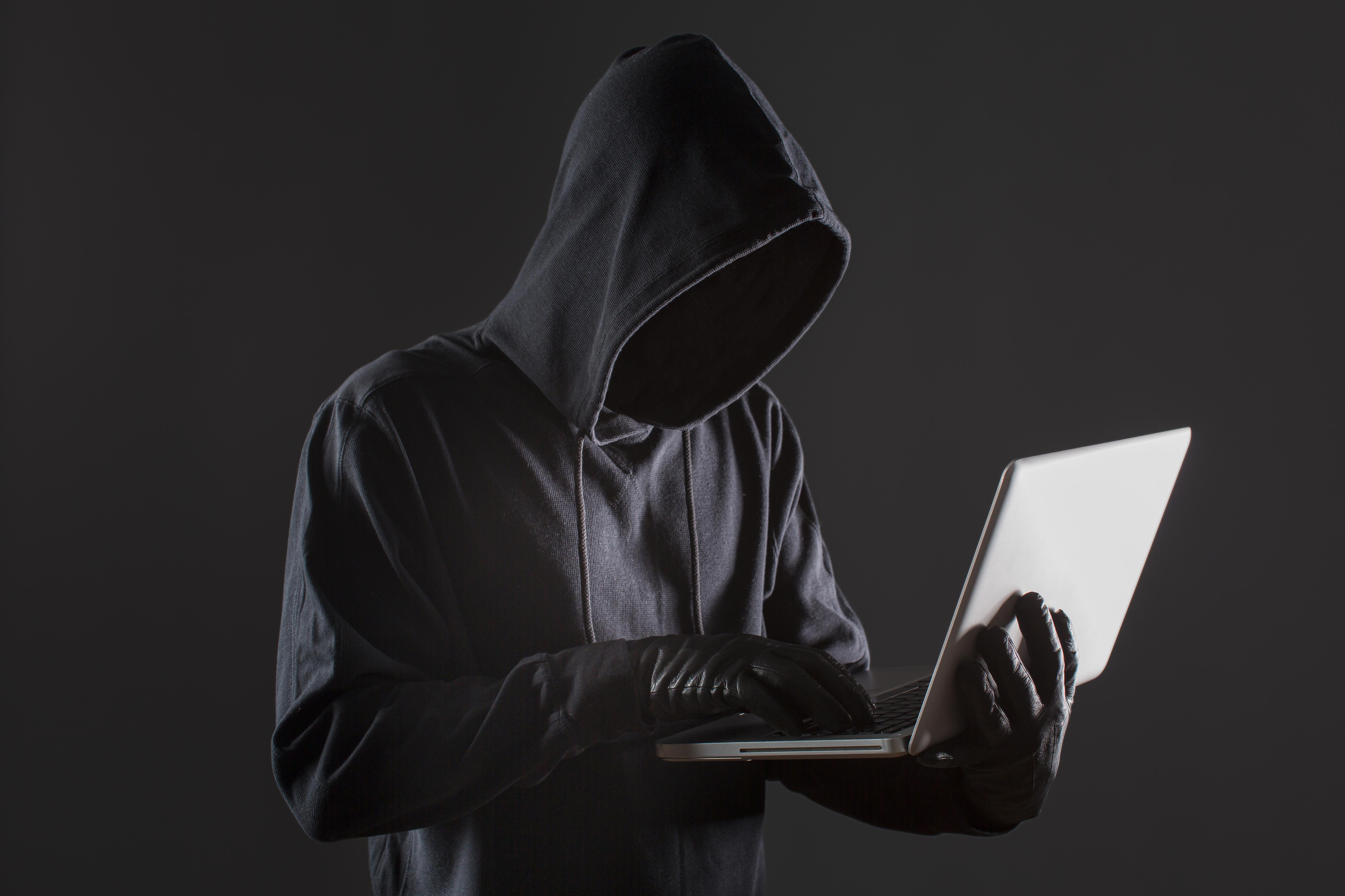 RansomEXX跟其他黑客軟件一樣，會透過木馬程式入侵系統以盜取資料並設置加密。（Freepik網上圖片）