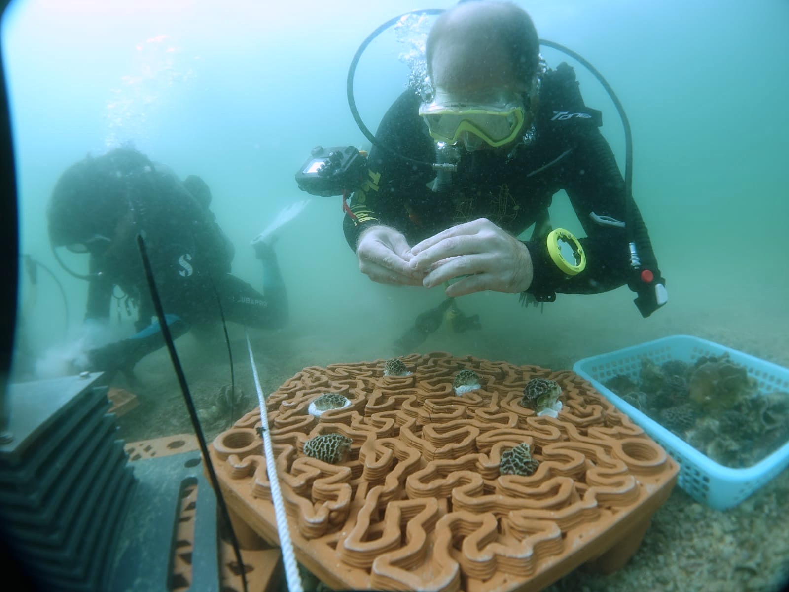 總冠軍archiREEF以陶土物料3D打印礁盤，然後設置在本港海底，讓珊瑚依附成長。（archiREEF網上圖片）