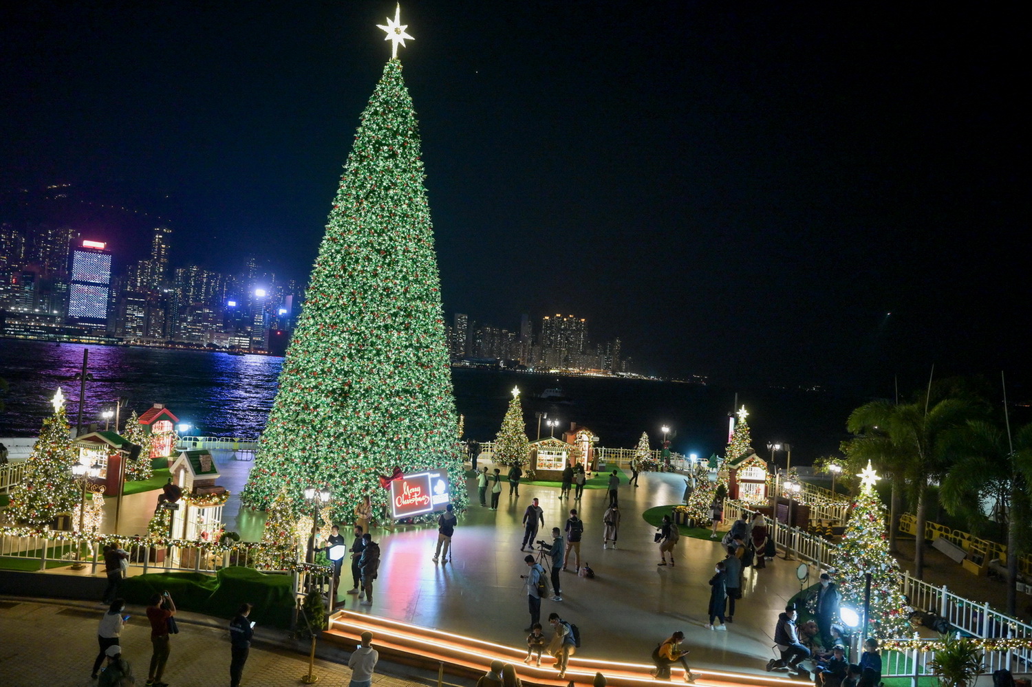 旅發局首次把巨型聖誕樹，移師至西九文化區，讓市民拍照歡渡佳節。（中新社資料圖片）