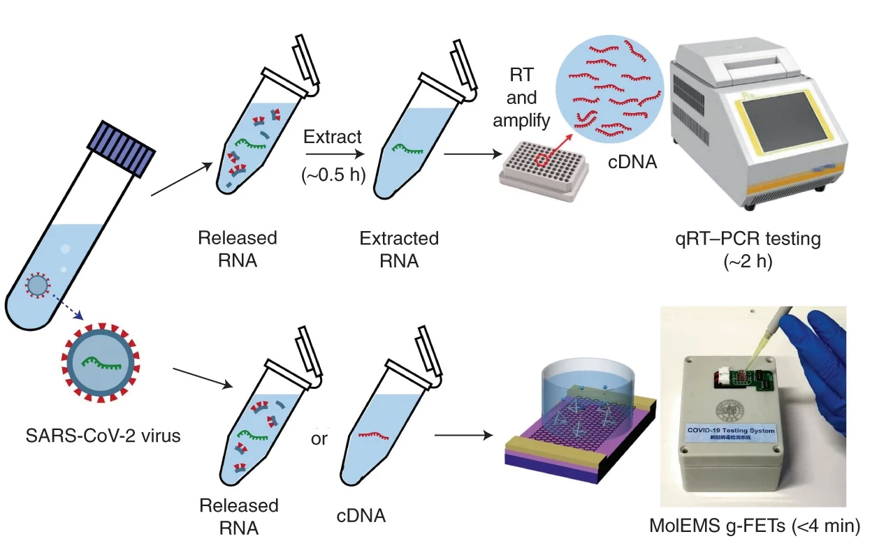 qRT-PCR核酸檢測（上）需時約兩小時；MolEMS g-FET系統（下），最快4分鐘知結果。（Nature Biomedical Engineering圖片）