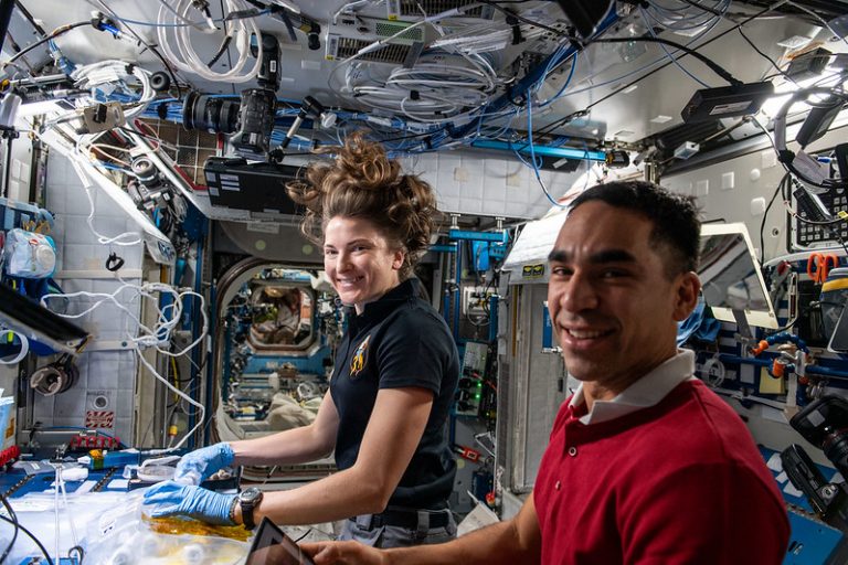 （左起）美國 NASA太空人Kayla Barron 及Raja Chari採集棉花細胞樣本。（NASA網上圖片）