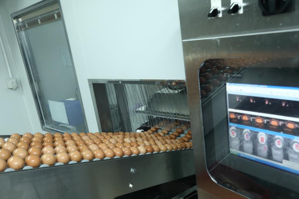 在2013年起，聯泰行設立香港首家巴斯德消毒鮮蛋液加工廠，每小時處理4.5萬隻雞蛋。。（生產力局圖片）
