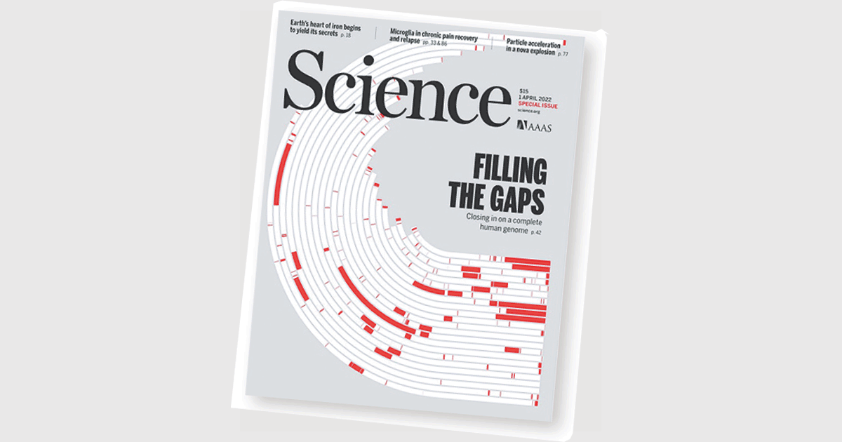最新一期《科學》（Science）雜誌共發表6篇論文，科學家今後可以更好地了解單一基因的形成。（Science網上圖片）