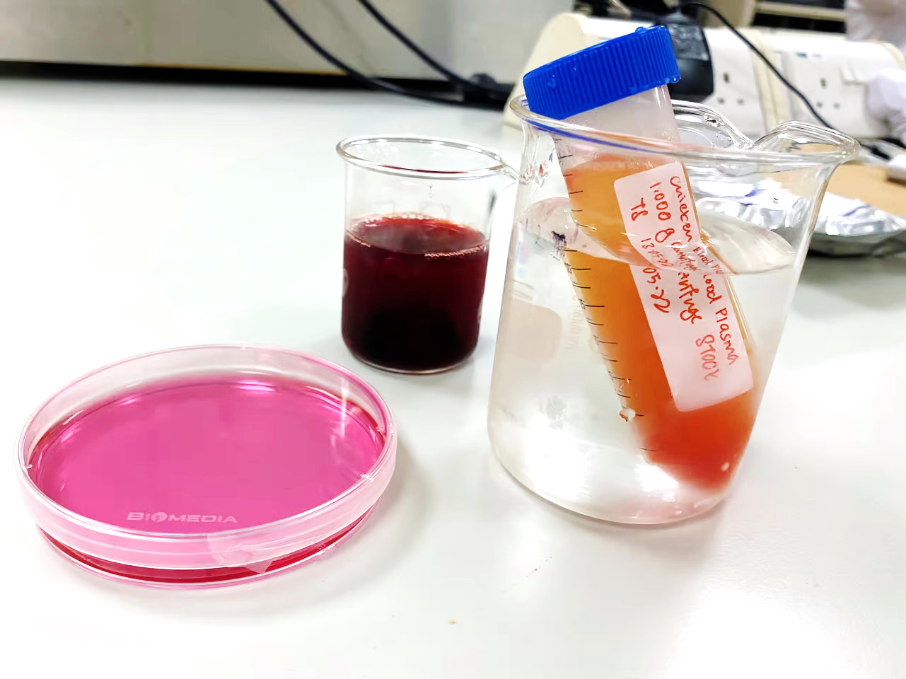 雞血、雞骨等廢料，充當細胞培養基，用以生產實驗室培植肉。（NTU網上圖片）