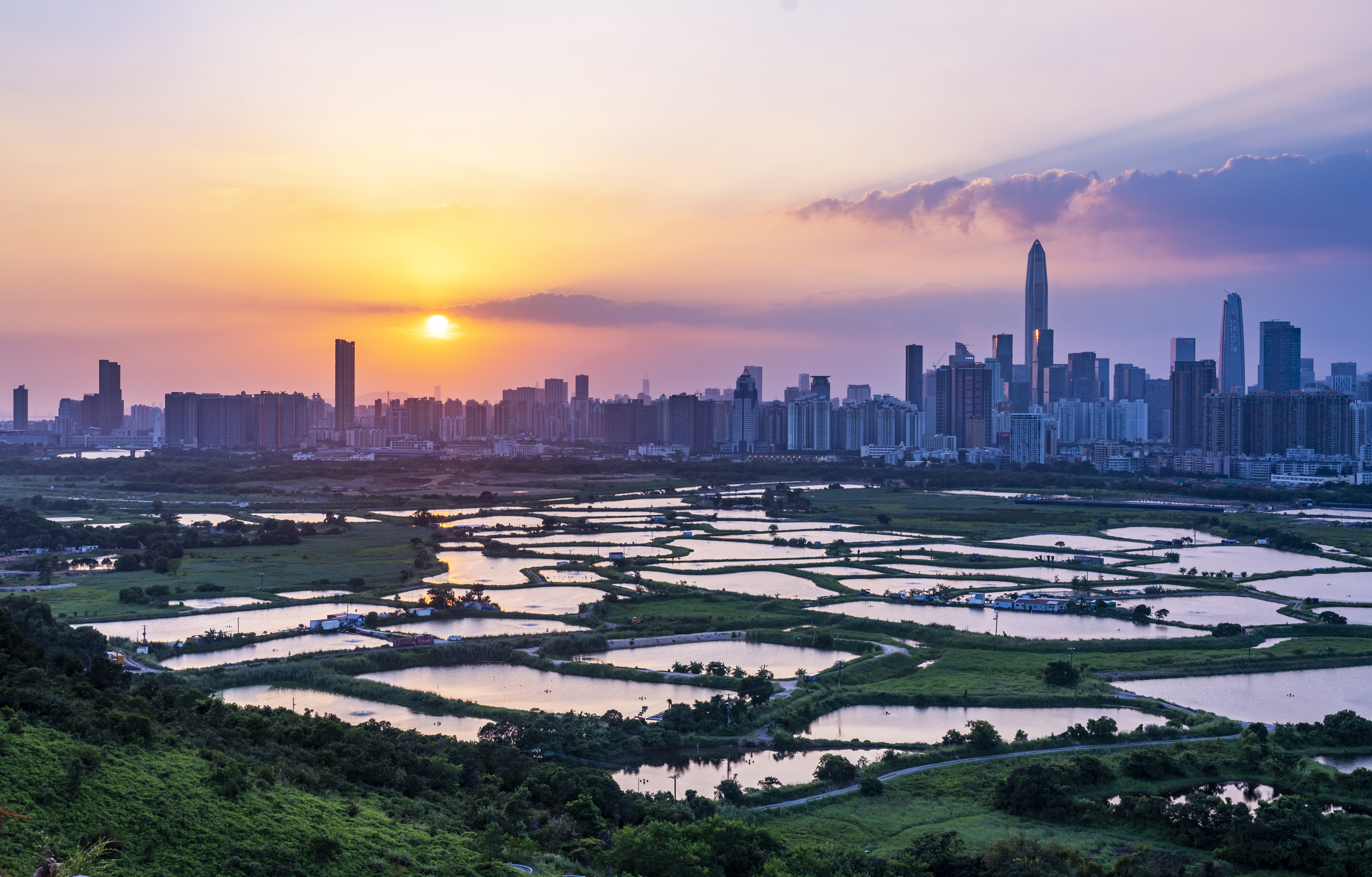 未來北部都會區的發展策略，能有助香港與大灣區各地優勢互補，建立一個跨地域的生態圈。（中新社資料圖片）